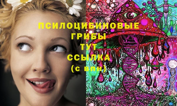 кокаин Алексеевка
